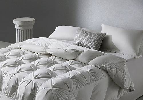 French Design Awards - Super Soft Frameless Silk-Down Quilt