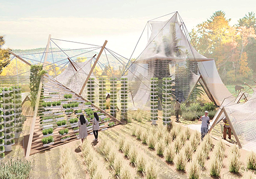 French Design Awards Winner - Lo-fi Agritecture  by Peng + Team