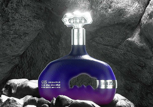 French Design Awards Winner - Guozanglang G15 by Guangdong Gaoyi Packaging Technology Co., LTD