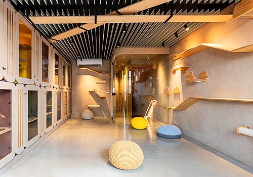 French Design Awards - Yilan Cat Boarding & Care