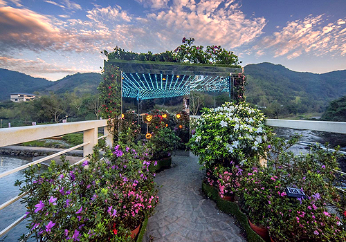 French Design Awards - 2025 Let’s Go Bloom-Wanjin Azalea