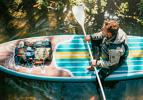 French Design Awards - Driftwood Turtle