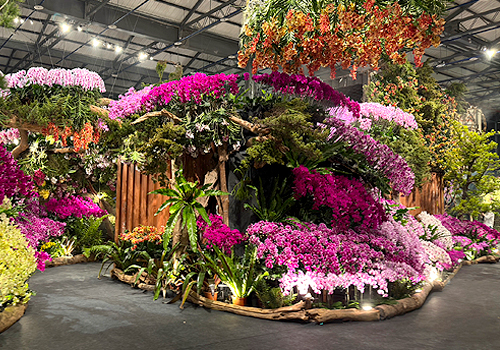 French Design Awards - 綻放臺灣Blooming Taiwan