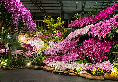 French Design Awards Winner - 綻放臺灣Blooming Taiwan by 儷景景觀設計有限公司Li Jing Landscape Design Co., Ltd.